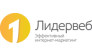 ЛидерВеб, веб-студия