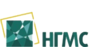 НефтеГазМетрология Сервис